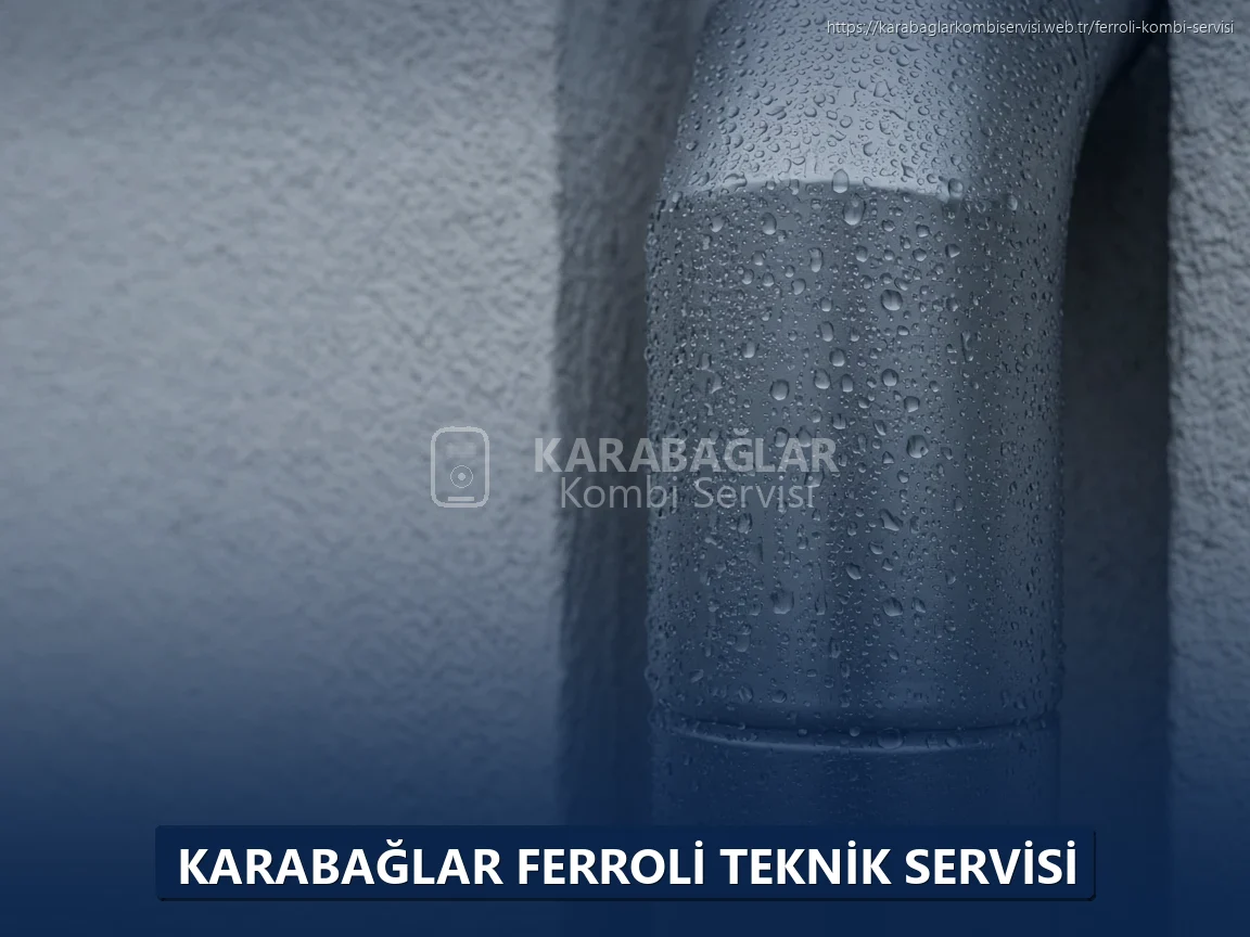 Karabağlar Ferroli Teknik Servisi